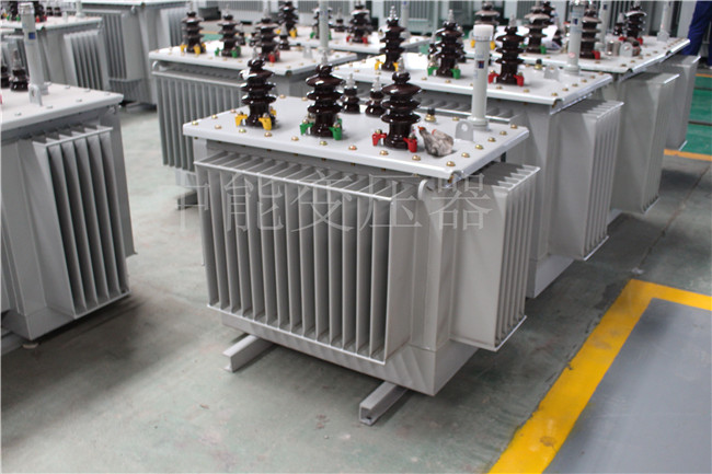 南充S22-100KVA/10KV/0.4KV变压器